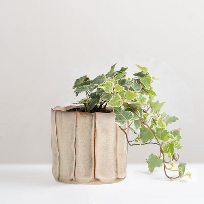 Anna-Li glazed stoneware plant pot
